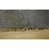 James Morrison, THE EDGE OF MONTREATHMONT, 1981, oil on board