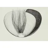 Alastair Morton, SPHERICAL FORM, pen and ink