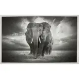 Björn Persson, IN THE FOOTSTEPS OF GIANTS XL, Inkjet pigment print on Hahnemühle Photo Rag Ultra Smooth 305gsm, 6/10