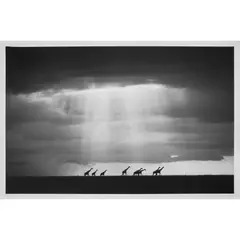 Björn Persson, GUIDED BY THE LIGHT XL, Inkjet pigment print on Hahnemühle Photo Rag Ultra Smooth 305gsm, 10/10