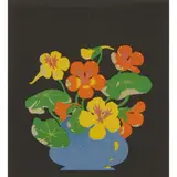 Hall Thorpe, NASTURTIUMS, Woodcut