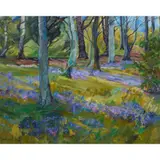 Margaret Ballantyne, BLUEBELL WOOD, oil on canvas