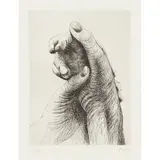 Henry Moore, THE ARTIST'S HAND IV, 1979, Etching, 6/50