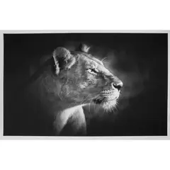 Björn Persson, LION'S SOUL XL, Inkjet pigment print on Hahnemühle Photo Rag Ultra Smooth 305gsm, 4/10