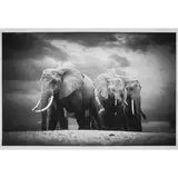 Björn Persson, CIRCLE OF LIFE XL, Inkjet pigment print on Hahnemühle Photo Rag Ultra Smooth 305gsm, 1/10