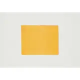 Callum Innes, EVIDENCE, 1996, lithograph