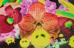 SEPAS MOUS, 2009 by Marc Quinn, Pigment print on 300gsm Somerset paper, 16/20, offered Jan 2025