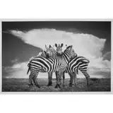 Björn Persson, CLOSE XL, Inkjet pigment print on Hahnemühle Photo Rag Ultra Smooth 305gsm, 9/10