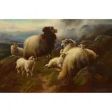 Robert Watson, SHEEP ON A ROCKY OUTCROP, oil on canvas