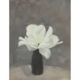 John Houston, WHITE TULIP