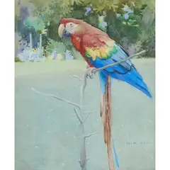 Jack Orr, THE FOREIGNER, watercolour