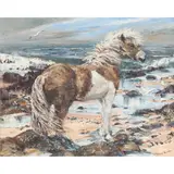Valerie Fraser, SHETLAND PONY, oil on board