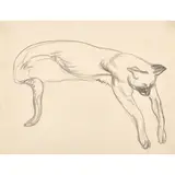 William McCance, THREE CAT SKETCHES