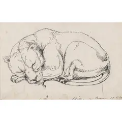 James Giles, SLEEPING CUB, 1824, pen and pencil