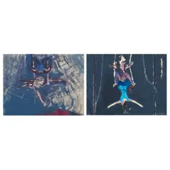 David Michie, TRAPEZE - TWO ARTISTES (NOFIT STATE CIRCUS), 1994, oil on board