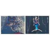 David Michie, TRAPEZE - TWO ARTISTES (NOFIT STATE CIRCUS), 1994, oil on board