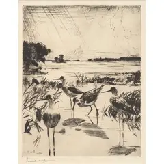YELLOWLEGS IN SUNLIGHT by Frank Weston Benson, 1928, Drypoint etching, sold Oct 2024