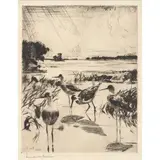 Frank Weston Benson, YELLOWLEGS IN SUNLIGHT, 1928, Drypoint etching