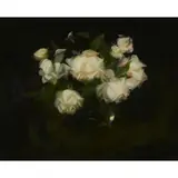 Stuart Park, WHITE ROSES, oil on canvas