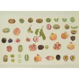 Elizabeth Blackadder, STILL LIFE WITH POMEGRANATE AND KIWI FRUIT, 1980