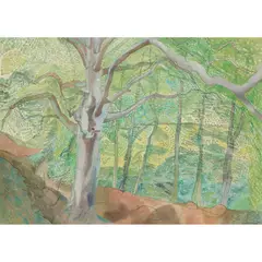 DURSTON WOODS, SOMERSET, 1973 by Edward Bawden, watercolour on paper, sold May 2025
