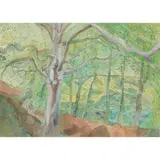 Edward Bawden, DURSTON WOODS, SOMERSET, 1973, watercolour on paper