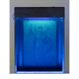 Matt Collishaw, ULTRA VIOLET ANGEL (NO.6), 1993, silkscreen with ultra violet ink on paper, steel box, illuminated by ultraviolet light