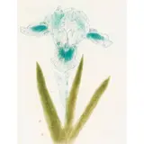 Elizabeth Blackadder, ORCHID STUDY (TEAL), Colour etching, Proof