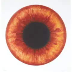 Marc Quinn, EXOSPHERE, 2023, Pigment print on 300gsm Somerset Photo paper, 15/65