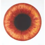 Marc Quinn, EXOSPHERE