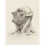 Peter Howson, CENTURION, 1990, Etching, 32/50