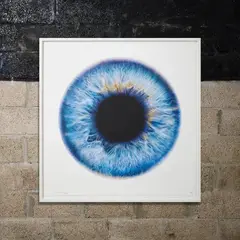 Marc Quinn, MESOSPHERE, 2017, Digital print with silkscreen glaze, 15/65