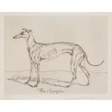 Elizabeth Blackadder, CHAMPION, 1995, Etching, 9/50