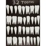 David Shrigley, 32 TOOTHS, 2022, Linocut, 60/100