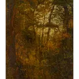 Victoria Crowe, CLEARING WITH SCOTS PINE