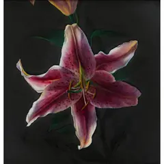 David Warrilow, LILIES, 1990, oil on board