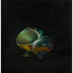 David Warrilow, THE TURBAN SHELL, 1986, oil on board