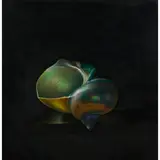 David Warrilow, THE TURBAN SHELL, 1986, oil on board