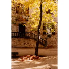 Dorothy Bohm, PROVENCE, NOVEMBER 1991, lifetime c-type print on Kodak paper