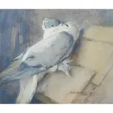 Mabel Dawson, A GREY DOVE, gouache on linen