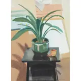 Helen Wilson, STILL LIFE (ASPIDISTRA), gouache