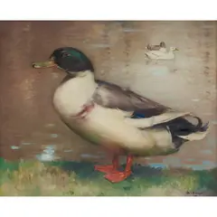 Andrew Law, MALLARD, oil on canvas