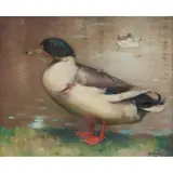Andrew Law, MALLARD, oil on canvas