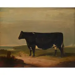 James Cassie, STUDY OF A PRIZE COW ON A CLIFF-TOP, oil on board