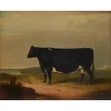 James Cassie, STUDY OF A PRIZE COW ON A CLIFF-TOP, oil on board