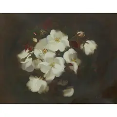 Stuart Park, STILL LIFE OF WHITE ROSES, oil on canvas