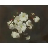 Stuart Park, STILL LIFE OF WHITE ROSES, oil on canvas
