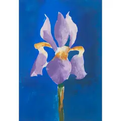 IRIS by Donald Hamilton Fraser, gouache, sold Apr 2024