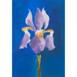 Donald Hamilton Fraser, IRIS, gouache