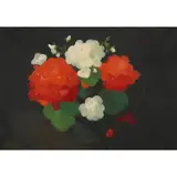 Stuart Park, GERANIUMS, oil on canvas